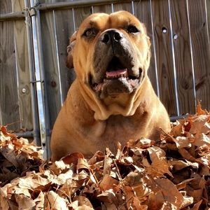 Meet your Posher, Cody